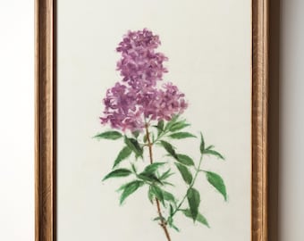 Lámina botánica lila para decoración de jardín campestre - Arte floral vintage para pared, ilustración de flores moradas, descarga digital, TimprintsStudio