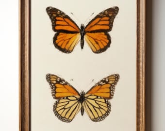 Butterfly Wall Art Print, Vintage Monarch Illustration, Nature Insect Digital Download, Botanical Countryside Decor, TimprintsStudio