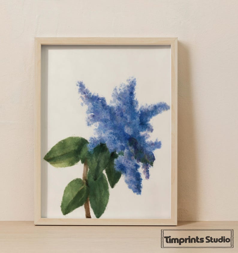 California Lilac Wall Art Print - Blue Botanical Flower, Spring Floral ...