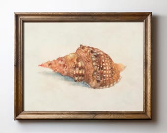 Seashell Art Print – Coastal Minimalist Beach Decor, Ocean-Inspired Wall Art, Digital Download, TimprintsStudio