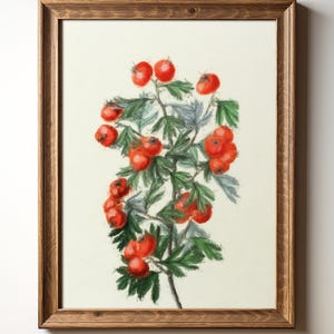 Hawthorn Berries Botanical Print – Red Berry Kitchen Wall Art, Rustic Nature Decor, Instant Digital Download, TimprintsStudio