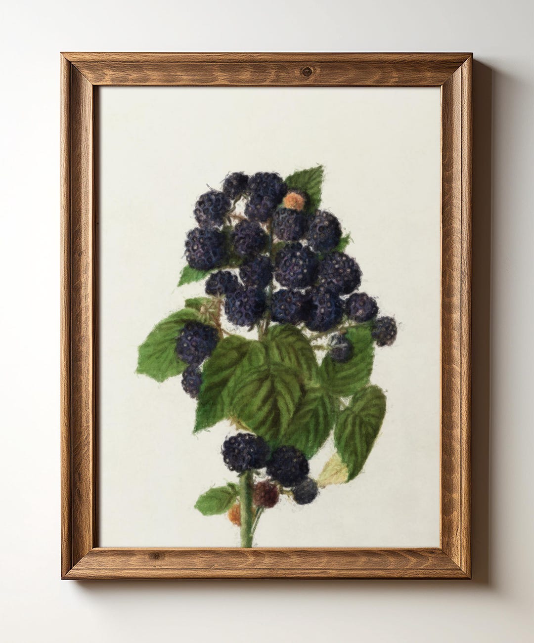 Vintage Raspberry Themed Decor Black Raspberry Wall Art Print, Rustic Kitchen Decor, Vintage Botanical ...