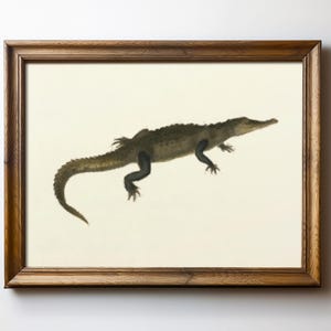 May include: A framed print of a brown alligator with a white background. The alligator is in profile, with its head turned to the right. The print is in a simple wooden frame.