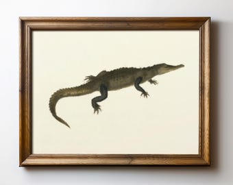 Rustic Wildlife Decor: Green Alligator Print Instant Download, Crocodile Digital Wall Art, Swamp Reptile Illustration, TimprintsStudio