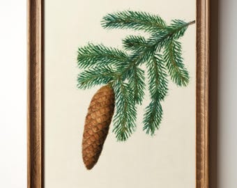 Pinecone Print – Rustic Nature Wall Art, Vintage Botanical Forest Decor, Green Art, Digital Download, TimprintsStudio
