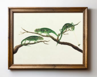 Chameleon Wall Art Print, Quirky Lizard Digital Download, Reptile Nature Decor, Funny Wildlife Printable, TimprintsStudio