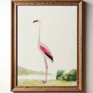 Flamingo Wall Art – Tropical Bird Illustration, Minimalist Watercolor Style,Pink Flamingo Digital Download, Beach House Art, TimprintsStudio