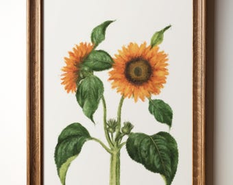 Cheerful Floral Print - Sunflower Printable for Farmhouse Decor, Rustic Summer Wall Art, Cottagecore Instant Download, TimprintsStudio