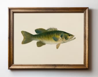 Largemouth Bass Fish Print – Vintage-Style Fishing Wall Art, Rustic Lake Cabin Decor, Wildlife Instant Download, TimprintsStudio