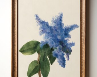 California Lilac Wall Art Print - Blue Botanical Flower, Spring Floral Digital Download, Wild Garden Nature Decor Printable, TimprintsStudio