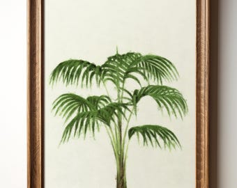 Palm Tree Print – Minimal Tropical Wall Art, Botanical Greenery Digital Download, Modern Plant Coastal or Boho Decor, TimprintsStudio