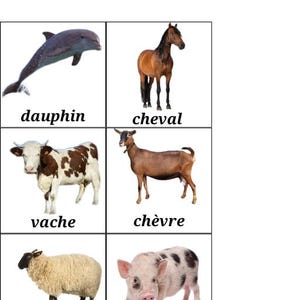 animal cards to print and cut out