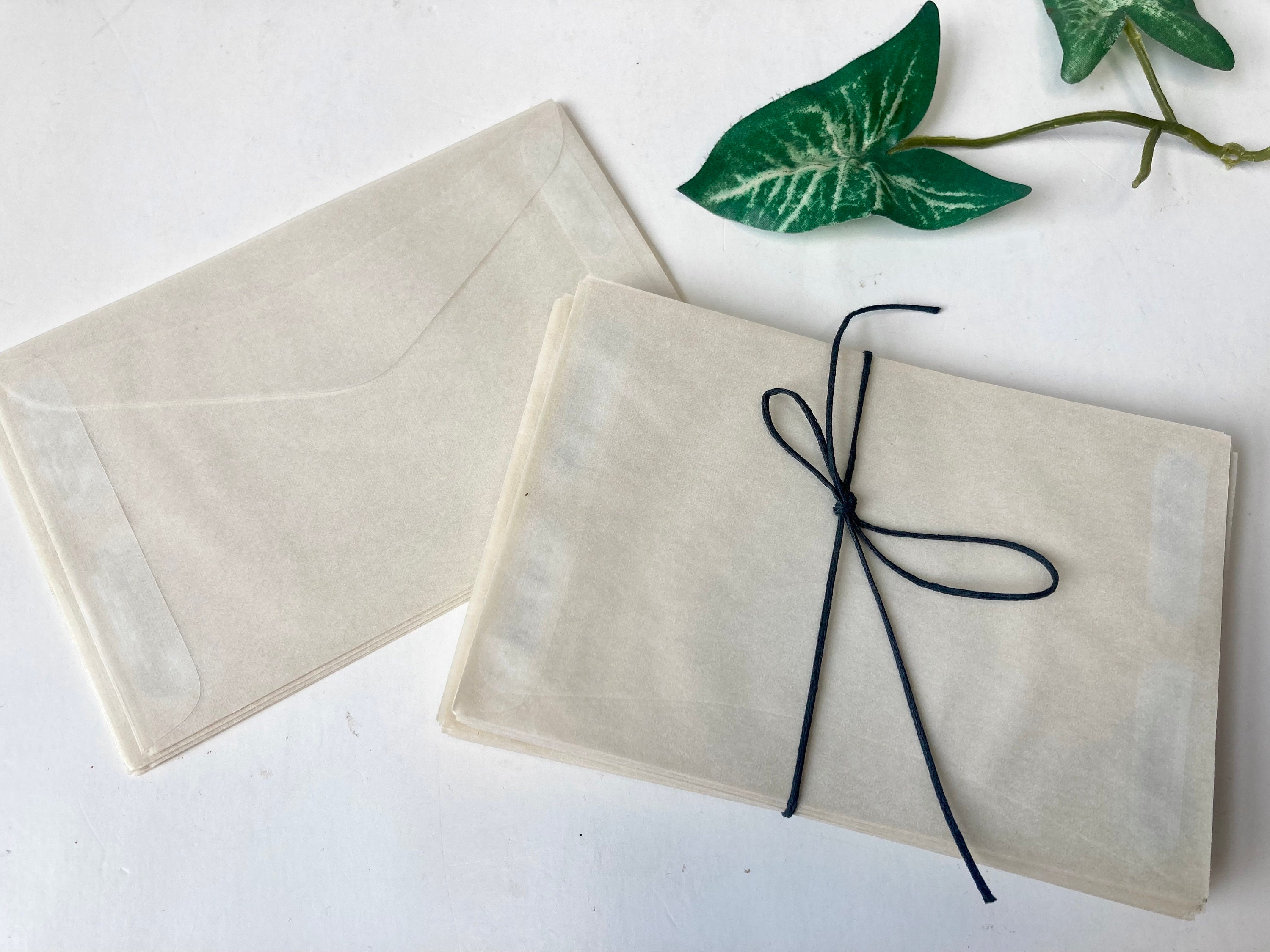 Small Glassine Envelopes 