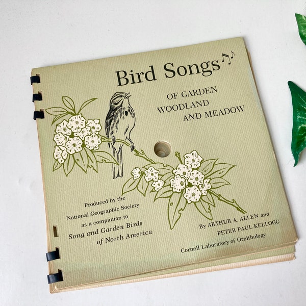 Bird Songs Records National Geographic Booklet 1964 North America Cornell University Vintage Media Sleep Sounds