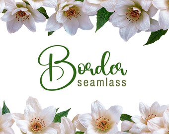 White Floral Seamless Border PNG | Jasmine Flower Clipart | Botanical Watercolor Border | Wedding Invitation Flowers