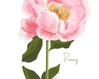 Peony Art Spring Florals. Spring Botanical Prints. Pretty Spring Decor  {Girly Floral Stationary Floral Note Cards Illustration Pretty}