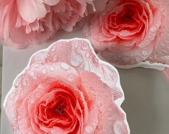 Hand-Cut Rose Flower Card – Floral Photography Note Card