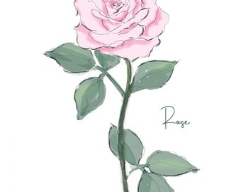 Rose Art Rose Florals. Rose Botanical Prints. Pretty Rose Pink Decor  {Girly Floral Stationary Floral Note Cards Illustration Pretty}