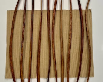 20+ inches long Dried Catalpa Bean-Like Seed Pods