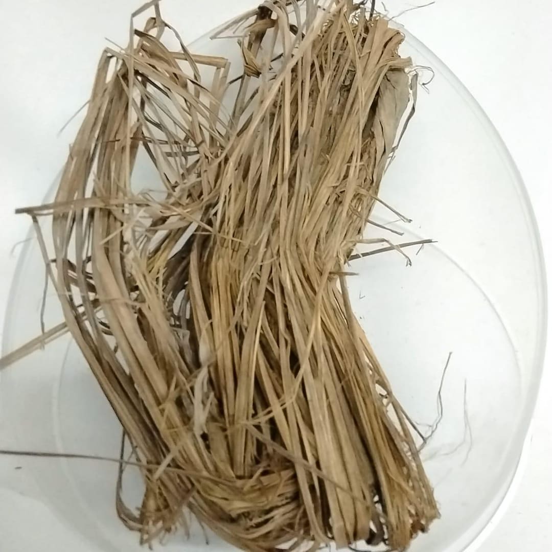 Ewe Tea/african Dried Lemon Grass - Etsy