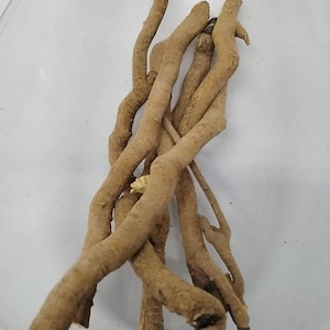 May include: A collection of light brown, gnarled roots, possibly herbs or spices, are arranged in a loose bundle. The roots have a rough texture and varying thicknesses, with some showing cut ends. The background is a plain, light-colored surface.