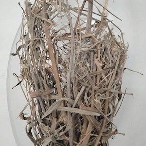 Può includere: Un nido di uccello naturale, composto da rametti intrecciati, erbe secche e fibre vegetali. Il nido è di colore marrone caldo, con un aspetto strutturato complesso. Il nido è probabilmente fatto a mano.