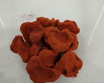 May include: A pile of dried, red, and crumbly fruit pieces.