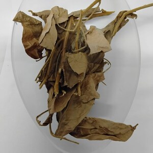 Ewe Gbegbe/ urumbia leaves/Eriagbo Leaves/Dried Icacina Trichantha/Dried Herbs