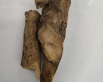 May include: Two pieces of brown, weathered driftwood. The larger piece is shaped like a bird's head and neck. The smaller piece is cylindrical.