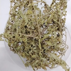 May include: Dried herbs with light green and brown leaves and stems are displayed in a clear glass bowl. The herbs have a natural, organic appearance, with visible textures and details. The image is well-lit, highlighting the colors and forms of the dried plants.