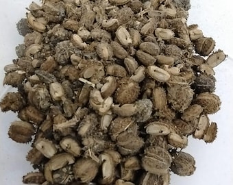 May include: A pile of dried, brown, spiky seed pods. The pods are various sizes and shapes, with some split open, revealing the inner seed. The overall texture appears rough and organic, with a natural, earthy aesthetic.