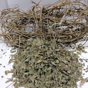 Pode incluir: Uma pilha de folhas verdes secas e um feixe de gravetos marrons entrelaçados. As folhas são pequenas e têm um formato arredondado. Os gravetos são finos e criam uma estrutura tecida, semelhante a um ninho, possivelmente para artesanato.