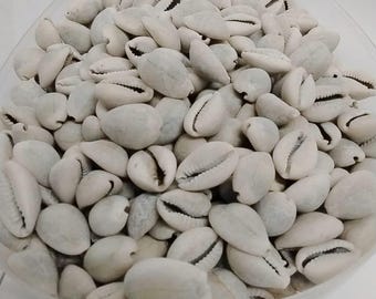 20pcs Authentic African Cowries/Owo Eyo/Yoruba Cowries