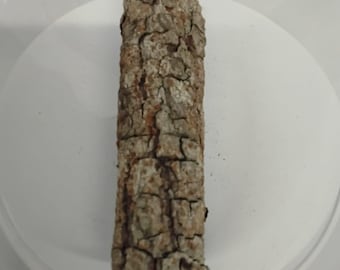 May include: A close-up of a piece of rough, brown bark with a reddish-brown interior. The bark is cracked and textured, with a natural, organic look.