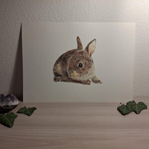 Stampa coniglietto, stampa giclée d'arte, arte della fauna selvatica