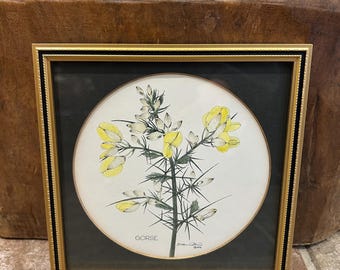 Vintage framed botanical Hand Colored print of "Gorse" Charles Rennie Mackintosh
