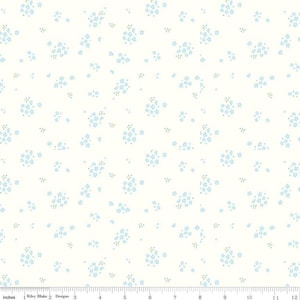 Hush Hush 3 Awesome Blossom -  Riley Blake Designs - Cotton Fabric by the yard - C14077-AWESOME