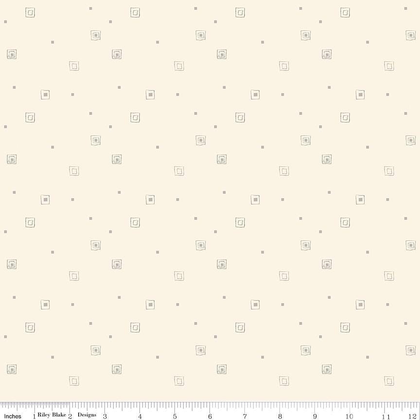 Hush Hush 5 All Boxed in - Riley Blake Designs - Cotton Fabric by the ...