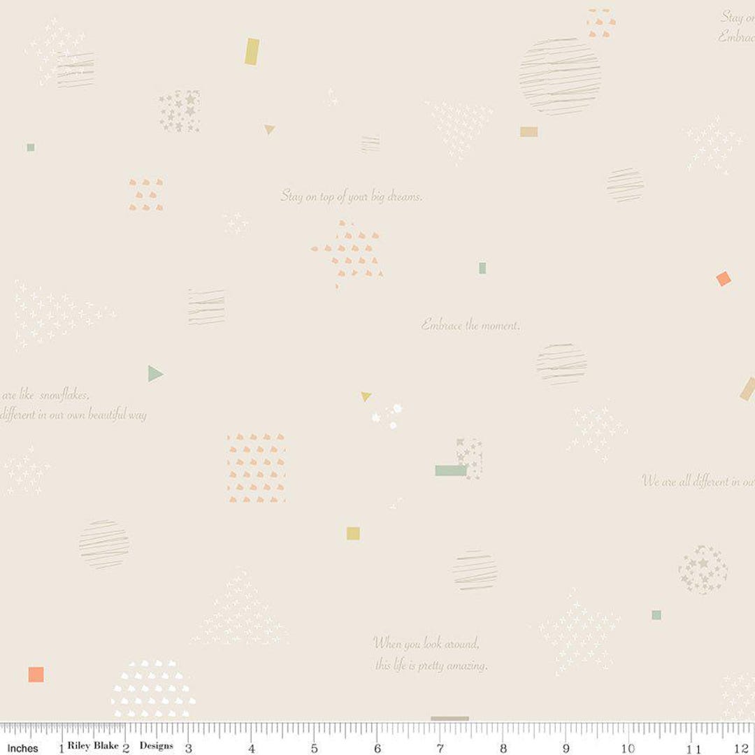Hush Hush 3 Big Dreams - Riley Blake Designs - Cotton Fabric by the ...