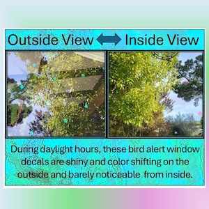 45 -Jen’s Bird Strike Alert Alternative Window Glass Decal- Handmade, Minimalist, Affordable, Effective, Non-Distracting, PP Cellophane