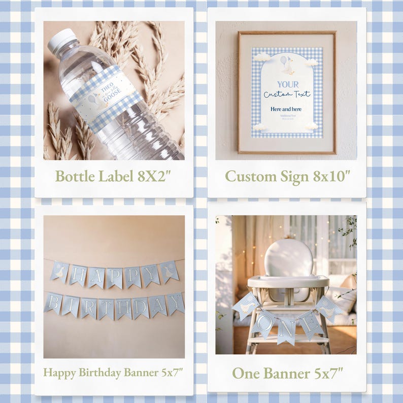 Boy's first birthday invite with a playful goose design, including party details and RSVP information.