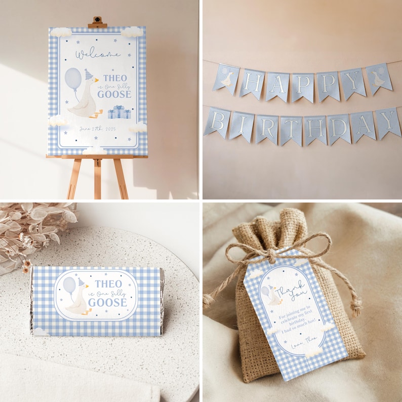 Cartoon goose with a balloon on a blue gingham 1st birthday invitation card.