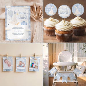 Illustrated 1st birthday invitation with a party hat-wearing goose and decorative blue accents.