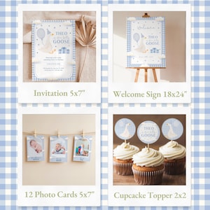 Cute blue and white party invitation for Theo's first birthday featuring a goose illustration.