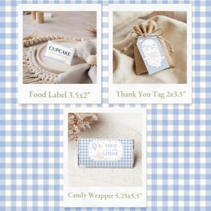 Silly Goose birthday invitation with blue tones and a playful goose motif for a child's 1st birthday.