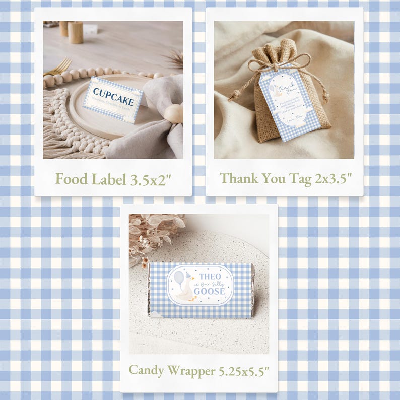 Silly Goose birthday invitation with blue tones and a playful goose motif for a child's 1st birthday.