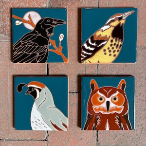 Birder gift! Desert Bird Coaster (Individual 4.25" square) | Choose Design: Owl, Quail, Cactus Wren, Raven | Southwest Art | AZ made
