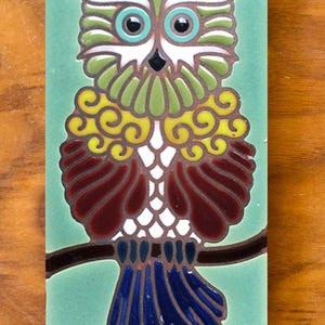 May include: A rectangular ceramic tile featuring a colorful owl design. The owl is perched on a branch against a teal background. The owl's plumage includes green, yellow, white, burgundy, and blue. The tile is likely for decorative purposes.