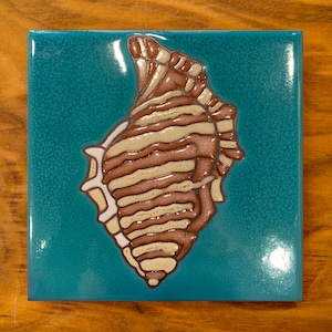 May include: A teal blue ceramic tile with a brown and white seashell design. The shell is detailed with brown stripes and white accents.