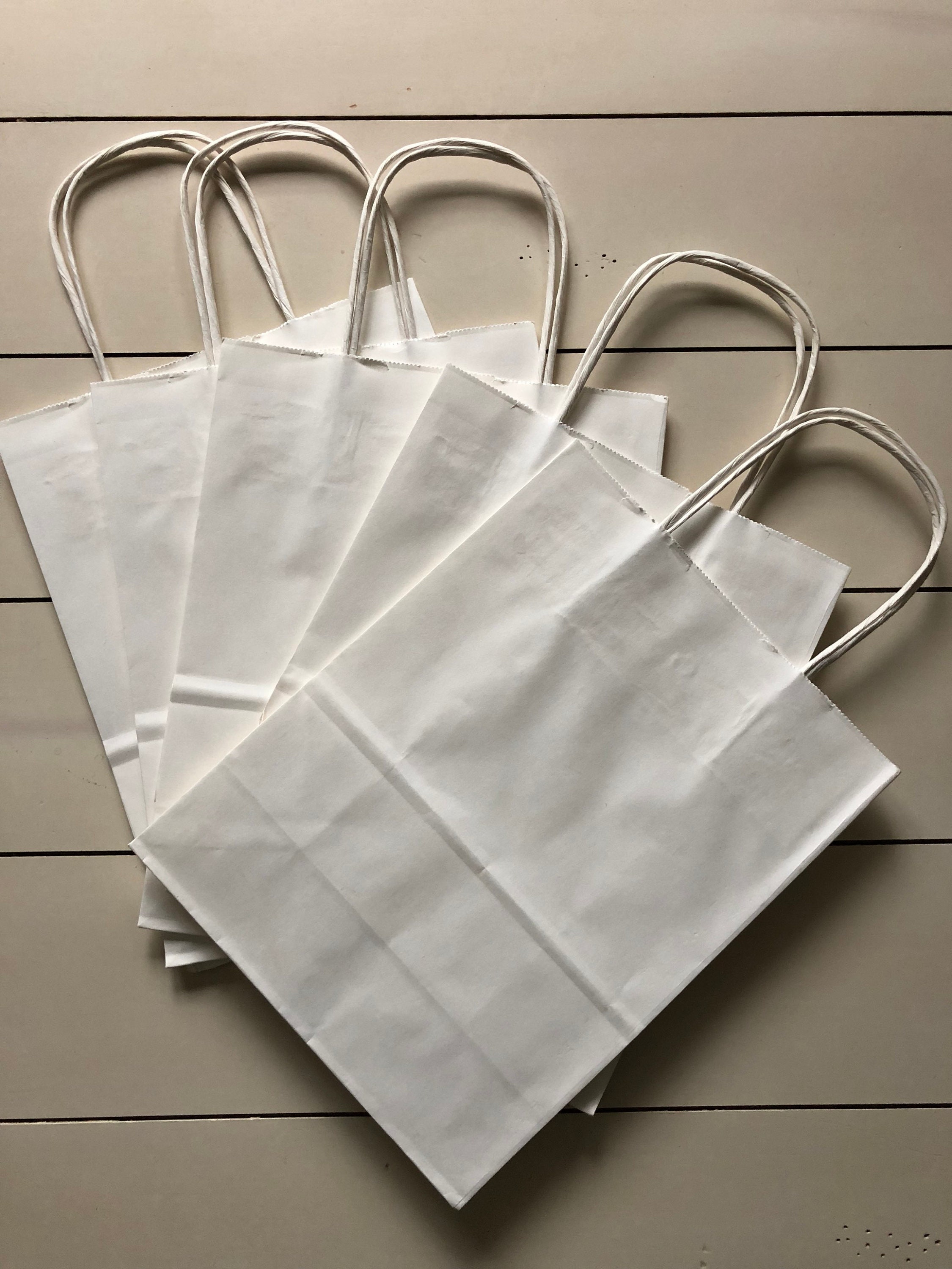 20 Pack White Gift Bag with Handle Cub Size Etsy
